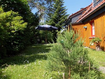 Der nahezu blickdichte Garten mit Terrasse