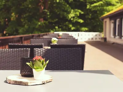 Ferienhaus für 8 Personen (100 m²) in Goslar-Hahnenklee 4/10