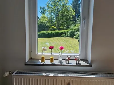 Ferienhaus für 20 Personen (400 m²) in Goslar-Hahnenklee 10/10