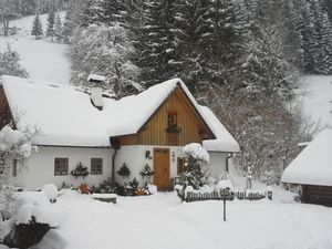 Ferienhaus Lenzau im Schnee