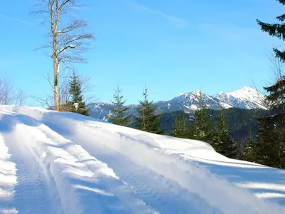Ferienhaus für 10 Personen in Göstling an der Ybbs 5/10