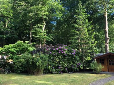 Ferienhaus für 6 Personen (100 m²) in Graal-Müritz (Ostseeheilbad) 5/10