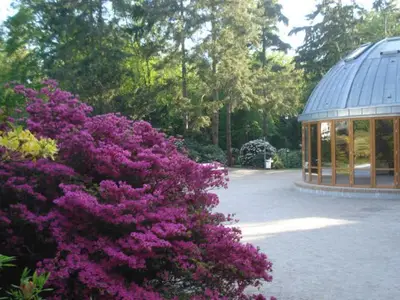 Ferienhaus für 3 Personen (58 m²) in Graal-Müritz (Ostseeheilbad) 4/10