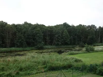 Ferienhaus für 4 Personen (65 m²) in Graal-Müritz (Ostseeheilbad) 5/10