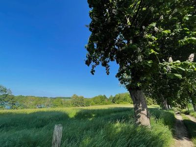 Ferienhaus für 5 Personen (65 m²) in Grabowhöfe 7/10