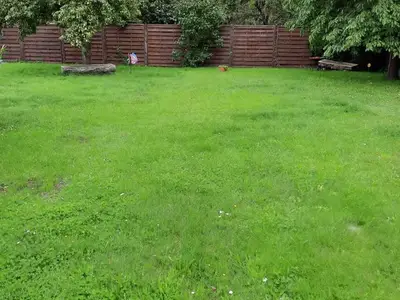 Ferienhaus für 5 Personen (50 m²) in Grabowhöfe 4/10