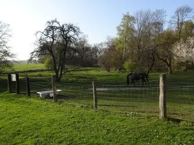 Ferienhaus für 3 Personen (25 m²) in Grabowhöfe 2/10