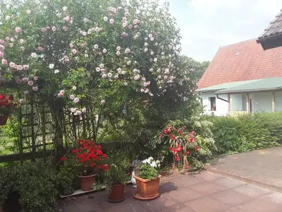 Ferienhaus für 3 Personen (25 m²) in Grabowhöfe 6/10