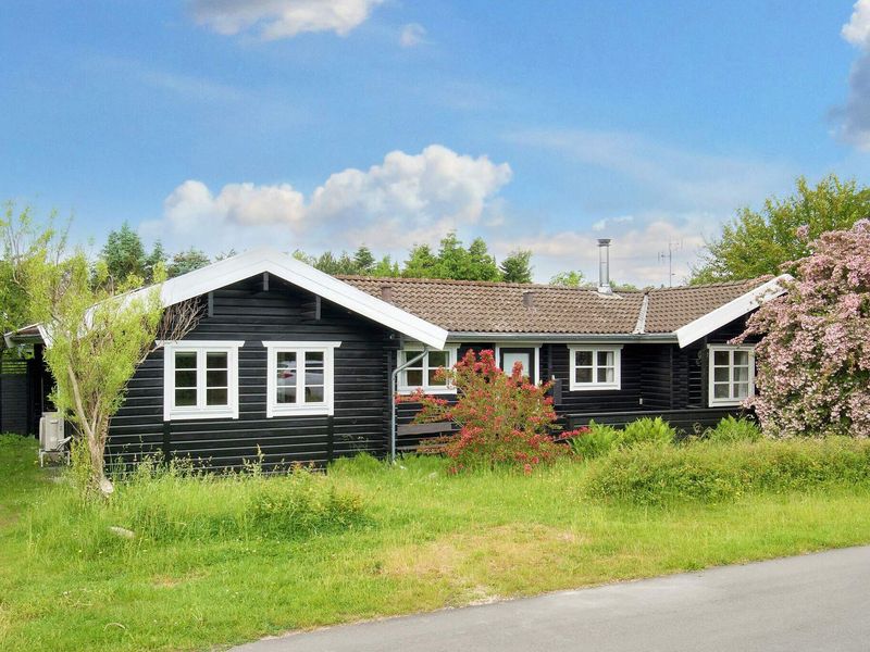 23556423-Ferienhaus-6-Græsted-800x600-1