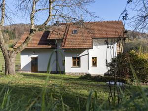 23513489-Ferienhaus-4-Grafenau-300x225-2