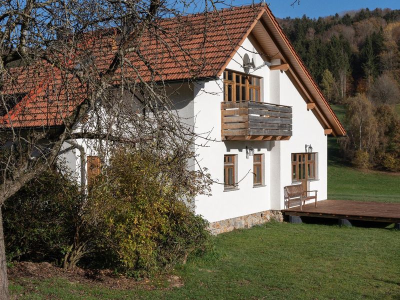 23513489-Ferienhaus-4-Grafenau-800x600-0