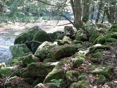 Zur Ilz 1km