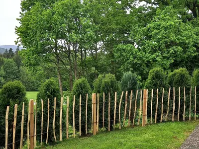 Ferienhaus für 4 Personen (80 m²) in Grafenau 7/10