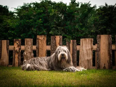 Ferienhaus für 4 Personen (80 m²) in Grafenau 7/10