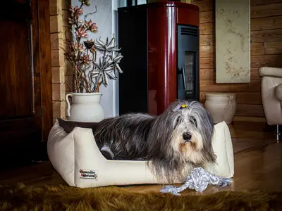 Ferienhaus für 4 Personen (80 m²) in Grafenau 2/10