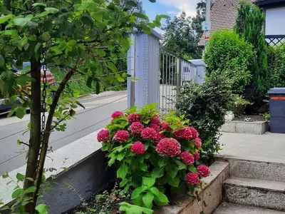 Ferienhaus für 6 Personen (105 m²) in Gräfenberg 6/10