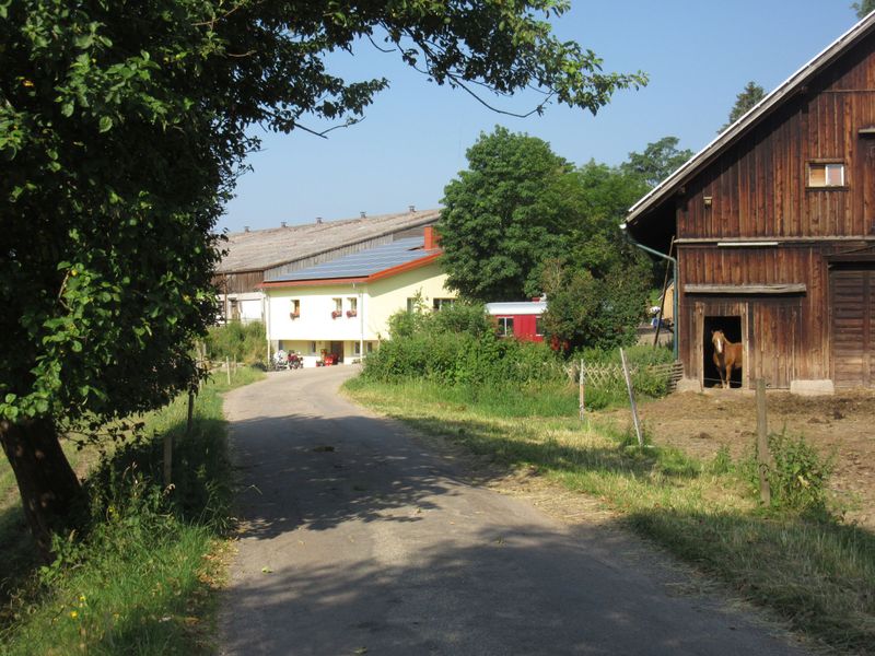 19047932-Ferienhaus-5-Grafenhausen-800x600-1