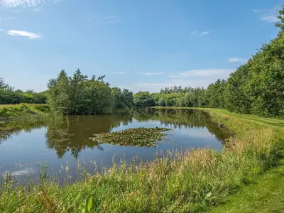 WaterView