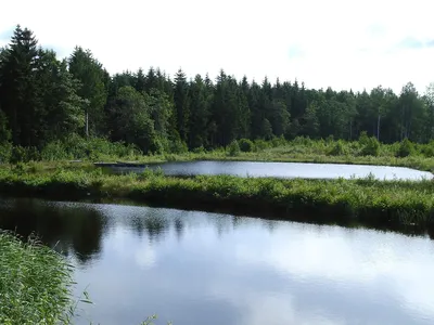 WaterView