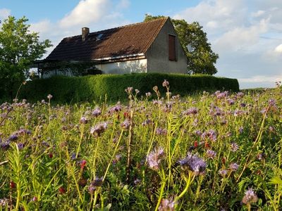 Ferienhaus für 2 Personen (45 m²) in Gransee 1/10