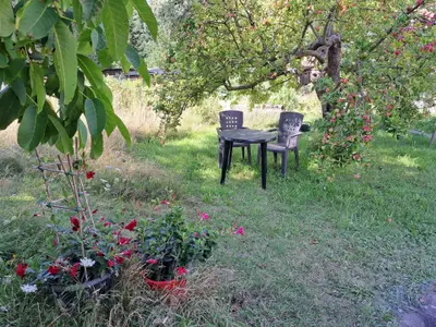 Ferienhaus für 2 Personen (45 m²) in Gransee 9/10