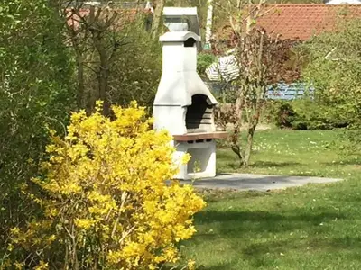 GardenSummer