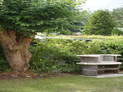 GardenSummer