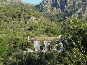 22450765-Ferienhaus-6-Grazalema-300x225-1