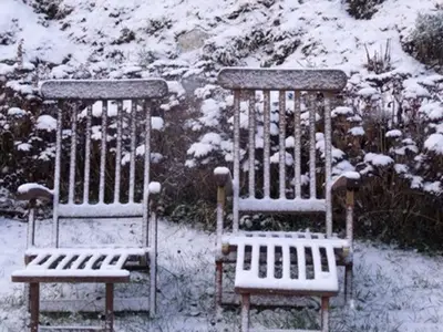 Garten im Winter