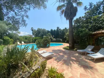 Pool des Ferienhauses