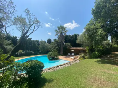 Garten [Sommer]