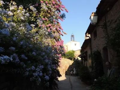 Ferienhaus für 4 Personen (38 m²) in Grimaud 4/10