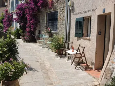 Ferienhaus für 4 Personen (38 m²) in Grimaud 5/10