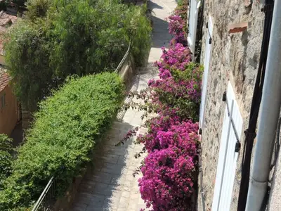 Ferienhaus für 4 Personen (38 m²) in Grimaud 6/10