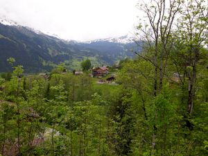 23842456-Ferienhaus-6-Grindelwald-300x225-1