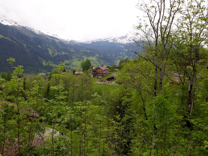 23842456-Ferienhaus-6-Grindelwald-800x600-1