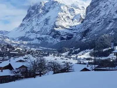 Natur aus dem Fenster