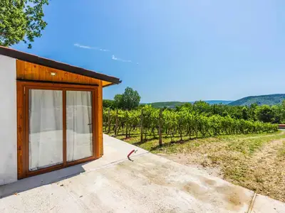 Ferienhaus für 3 Personen (25 m²) in Grizane 7/10