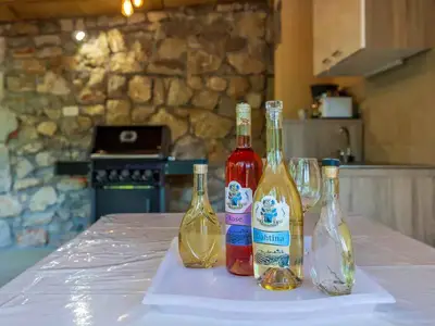 Ferienhaus für 3 Personen (30 m²) in Grizane 4/10