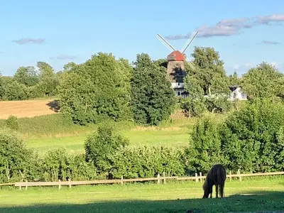 Ferienhaus für 5 Personen (75 m²) in Grödersby 10/10