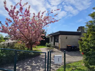 Ferienhaus für 4 Personen (57 m²) in Lensterstrand 1/10