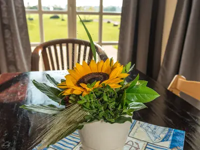 Ferienhaus für 4 Personen (60 m²) in Grömitz 4/10