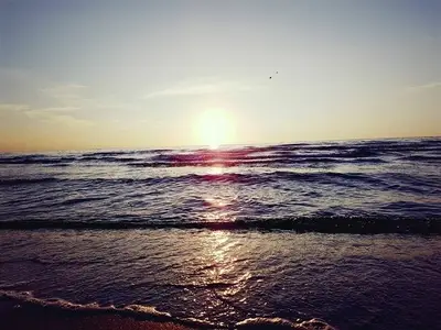 Ferienhaus für 3 Personen (26 m²) in Grömitz 10/10