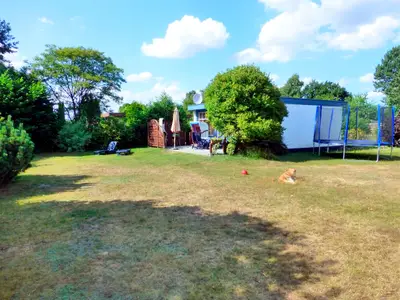 Ferienhaus für 4 Personen (45 m²) in Lensterstrand 1/10