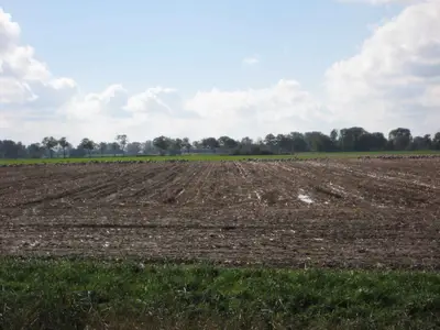 Ferienhaus für 4 Personen (40 m²) in Groß Kordshagen 10/10