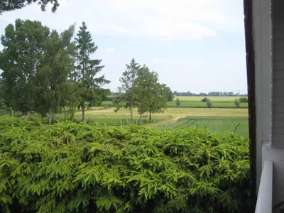 Ferienhaus für 4 Personen (55 m²) in Groß Kordshagen 5/10