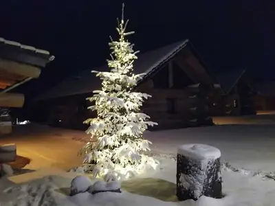 Ferienhaus für 4 Personen (50 m²) in Groß Nemerow 4/10
