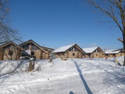 Ferienhaus für 4 Personen (50 m²) in Groß Nemerow 8/10