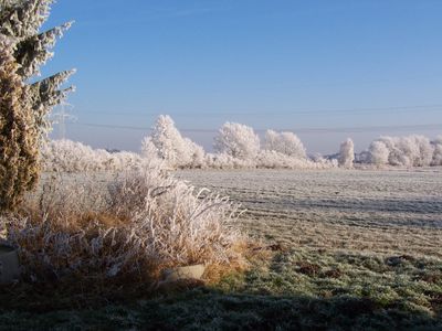 Wald im Winter