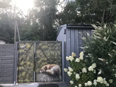 Ferienhaus für 2 Personen (42 m²) in Klein Rosenburg 2/10